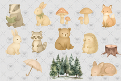 Cute Forest Animal Clipart bundle Product Image 3