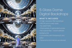 5 Glass Dome Digital Backdrops Product Image 3