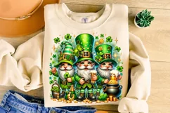 St Patrick's Day Gnome PNG, Lucky Day PNG, Shamrock PNG Product Image 3