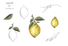 Acrylic Lemon Set Product Image 3