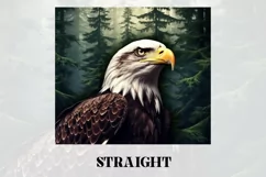 3D Eagle Tumbler Wrap | 3D Patriotic Tumbler Wrap Product Image 2