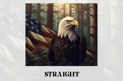 3D Eagle Tumbler Wrap | 3D Patriotic Tumbler Wrap Product Image 2