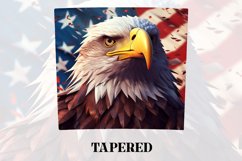 3D Eagle Tumbler Wrap | 3D Patriotic Tumbler Wrap | 3D Product Image 3