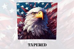 3D Eagle Tumbler Wrap | 3D Patriotic Tumbler Wrap | 3D Product Image 3
