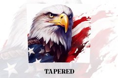 3D Eagle Tumbler Wrap | 3D Patriotic Tumbler Wrap | 3D Product Image 3