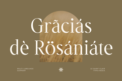 Le Saint Clair - Beauty Nostalgic Retro Serif Font Product Image 3