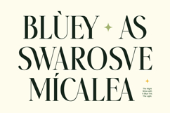Twoswash - Beauty Elegant Ligature Serif Product Image 3