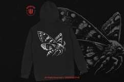 10 Bundle Dark Art Moth Skull Wings Insect Animal Horror Product Image 4