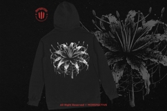 10 Bundle Dark Art Spider Lily Flower Lilies Botanical Product Image 4