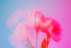 Abstract Faded Flowers Textures Product Image 3