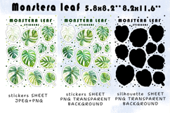 Monstera Houseplants Stickers |Png/Jpeg Print and cut Product Image 2