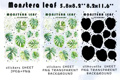 Monstera Houseplants Stickers |Png/Jpeg Print and cut Product Image 2
