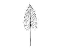 Palm Leaves svg, Botanical png Product Image 8