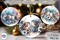 Christmas Ornaments Sublimation, Winter Bird Christmas PNG Product Image 1