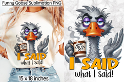 Funny Goose Sublimation, I Said What I Said Sarcastic Print Product Image 1
