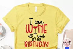 I can wine All I want Its my birthday - Birthday SVG Product Image 3