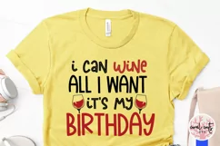 I can wine all I want its my birthday - Birthday SVG EPS DXF Product Image 3