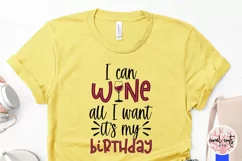 I can wine all I want its my birthday - Birthday SVG EPS DXF Product Image 3