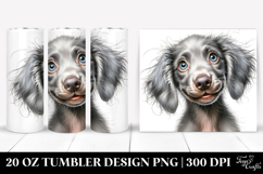 20 Oz Tumbler Png Product Image 1
