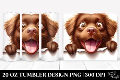 Crazy Furr Chesapeake Retriever | 20 Oz Tumbler Product Image 1