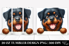 20 Oz Tumbler Png Product Image 1