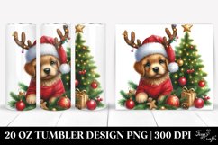 Christmas PNG 20 Oz Tumbler Design Product Image 1