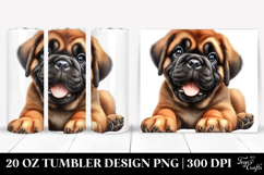20 Oz Tumbler Png Product Image 1
