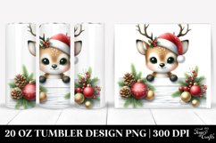 Christmas PNG 20 Oz Tumbler Design Product Image 1