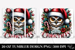 Christmas PNG 20 Oz Tumbler Design Product Image 1