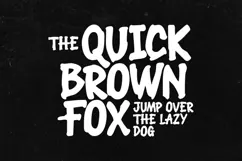 Roughwake - Hand Drawn Display Typeface Product Image 3