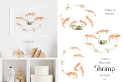 Watercolor Shrimp Life Cycle Set Bundle Product Image 3