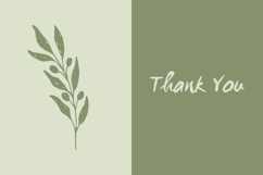 Hand Drawn Olive Branches PNG Clipart Product Image 3
