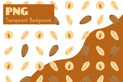 Nuts Seamless Pattern &amp; Digital Paper PNG Product Image 3