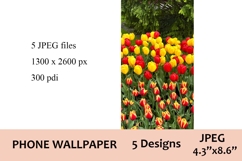 Keukenhof Tulip Aesthetic Phone Wallpapers Pack / JPEG files Product Image 3