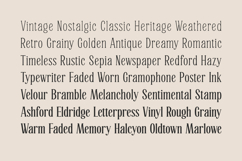 Softique Product Image 3