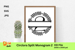 Cilclora Split Monogram Product Image 1