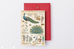 Summer Peacock Garden Junk Journal Pages Product Image 5