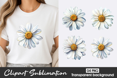 White Daisy Watercolor Clipart PNG Product Image 1