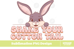 Easter Bunny Sublimation PNG Chick Farm Hip Hop Spring Joy Product Image 1