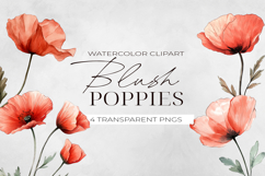 Watercolor Blush Poppy Flowers Clipart, PNG. Product Image 1