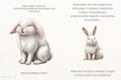 Summer White Bunny Meadow Clipart Product Image 2