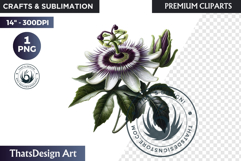 Medicinal Herbs clipart PNG, Apothecary Botanical Graphic Product Image 1