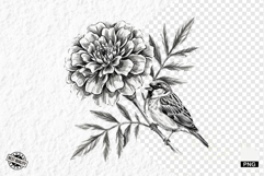 Summer Wildflowers &amp; Songbird Clipart Product Image 1