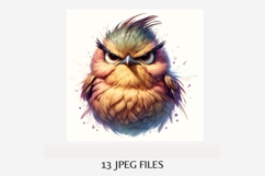 Angry Grumpy Birds Clipart Bundle | 13 JPEG Files Product Image 4