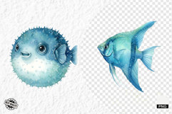 Watercolor Sea Life PNG Clipart Product Image 1