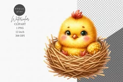Farm animals clipart, Chick clipart, Cute animals Product Image 1