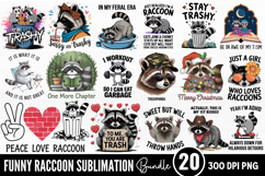 Funny Raccoon Sublimation Bundle PNG Product Image 1
