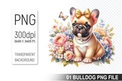 Cute French Bulldog Clipart PNG, Dog illustration Design Product Image 1