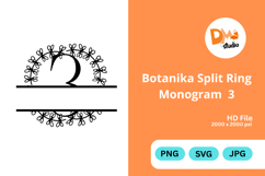Botanika Split Ring Monogram Product Image 1