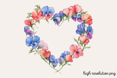 Sweet Pea Flower Watercolor Clipart PNG Product Image 1